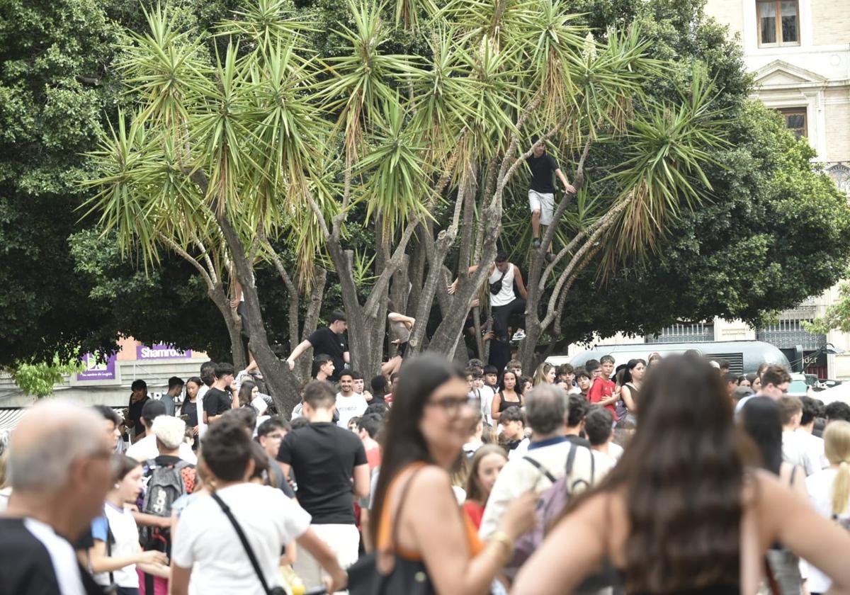 Decenas de jóvenes se concentran en la Plaza de Santo Domingo para recibir a los 'youtubers'.