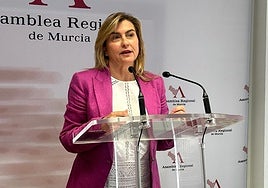 Carmina Fernández durante su intervencion en la Asamblea Regional.