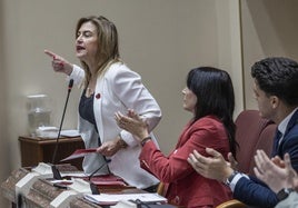 Carmina Fernández, este viernes, durante el pleno de la Asamblea Regional.
