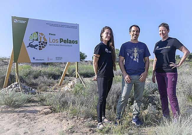 Técnicos de Columbares con Estrella.