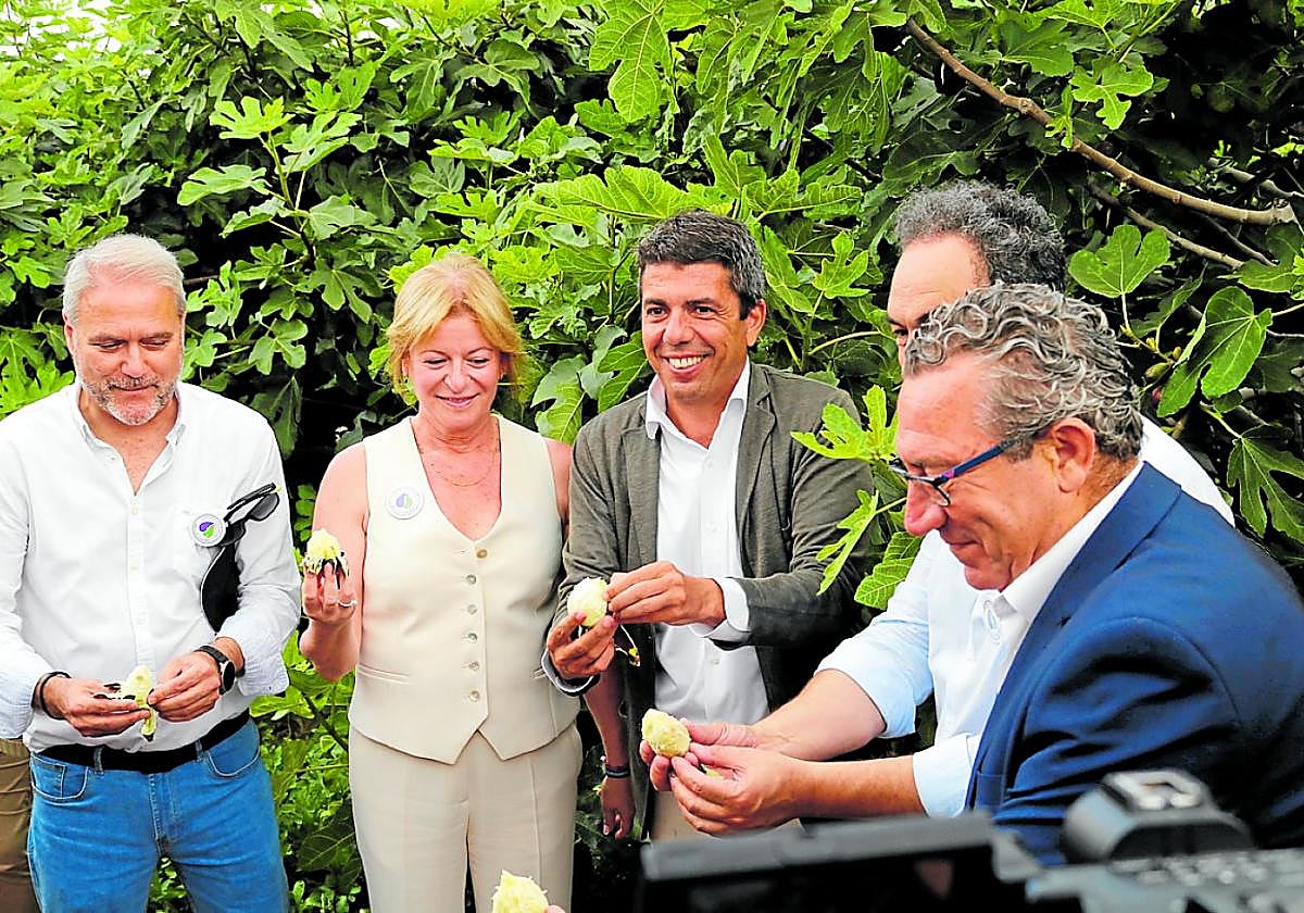 Juan José Ruiz, Ana Serna, Carlos Mazón, Fernando Sáenz y Toni Pérez, en el corte de la breva.