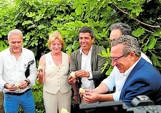 Juan José Ruiz, Ana Serna, Carlos Mazón, Fernando Sáenz y Toni Pérez, en el corte de la breva.
