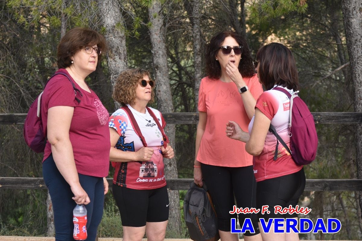 Imágenes de la marcha convocada por Plaza Nueva por la conexión ferroviaria con Albacete