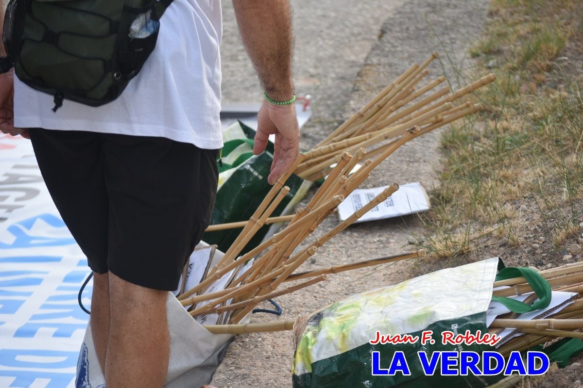 Imágenes de la marcha convocada por Plaza Nueva por la conexión ferroviaria con Albacete
