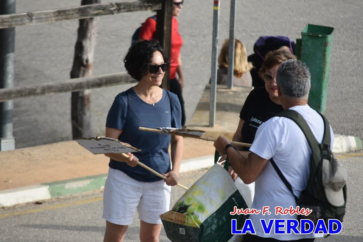 Imágenes de la marcha convocada por Plaza Nueva por la conexión ferroviaria con Albacete