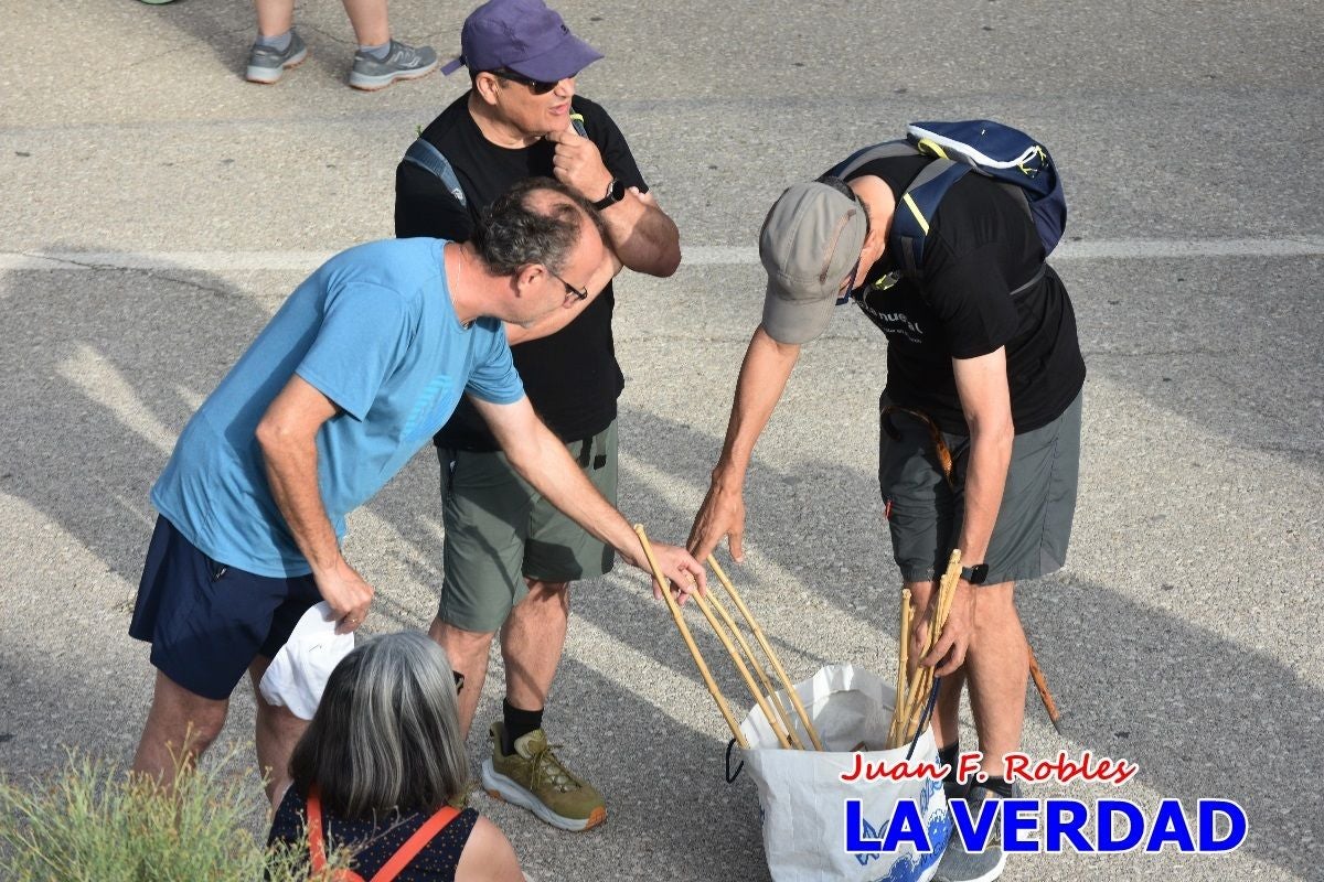 Imágenes de la marcha convocada por Plaza Nueva por la conexión ferroviaria con Albacete