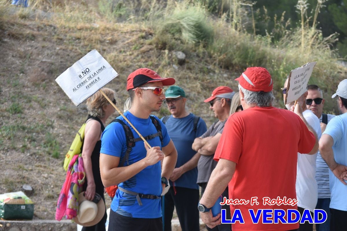 Imágenes de la marcha convocada por Plaza Nueva por la conexión ferroviaria con Albacete