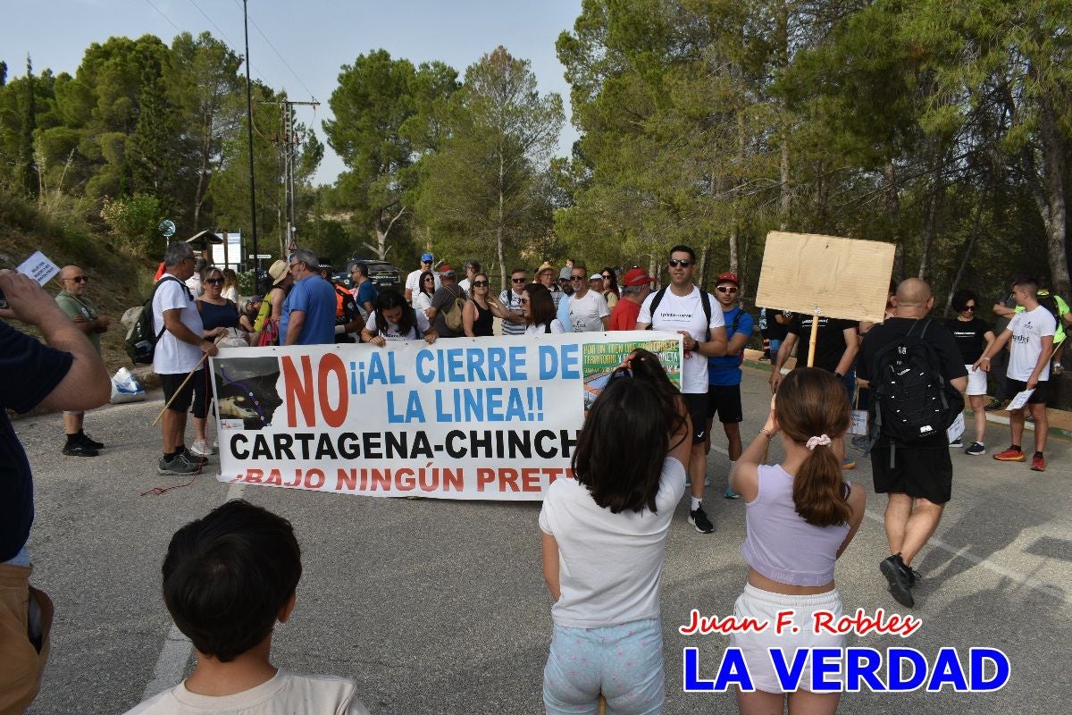 Imágenes de la marcha convocada por Plaza Nueva por la conexión ferroviaria con Albacete