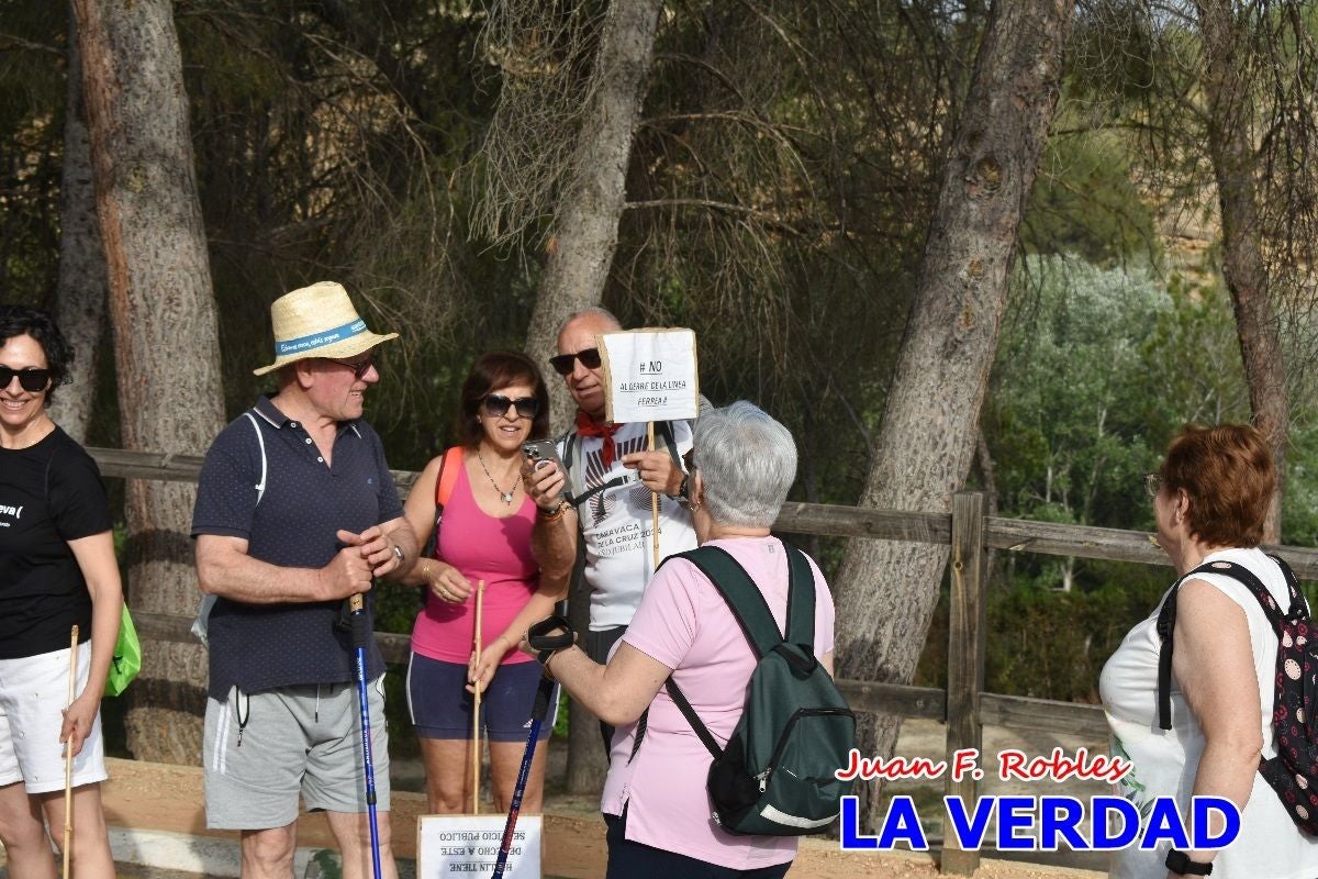 Imágenes de la marcha convocada por Plaza Nueva por la conexión ferroviaria con Albacete