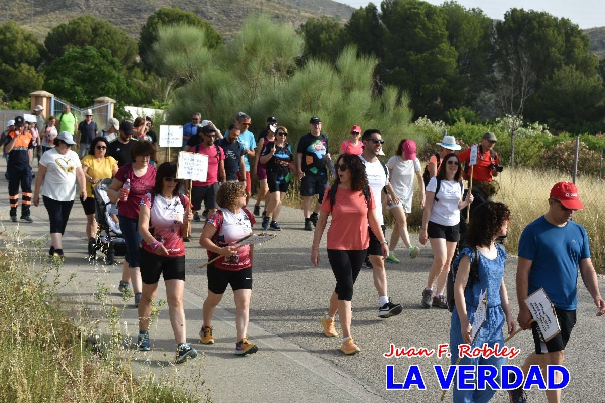 Imágenes de la marcha convocada por Plaza Nueva por la conexión ferroviaria con Albacete