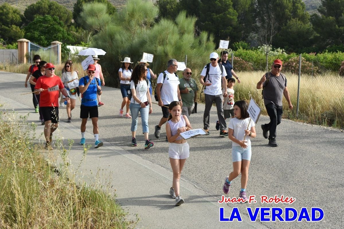 Imágenes de la marcha convocada por Plaza Nueva por la conexión ferroviaria con Albacete