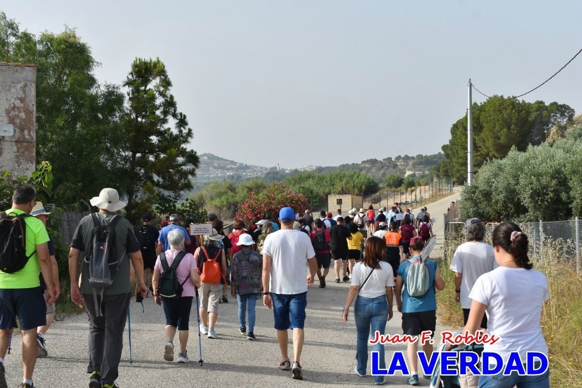Imágenes de la marcha convocada por Plaza Nueva por la conexión ferroviaria con Albacete
