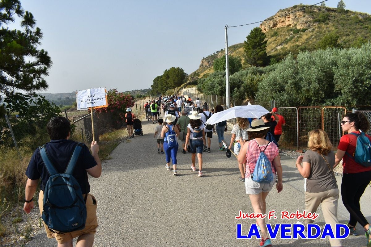 Imágenes de la marcha convocada por Plaza Nueva por la conexión ferroviaria con Albacete