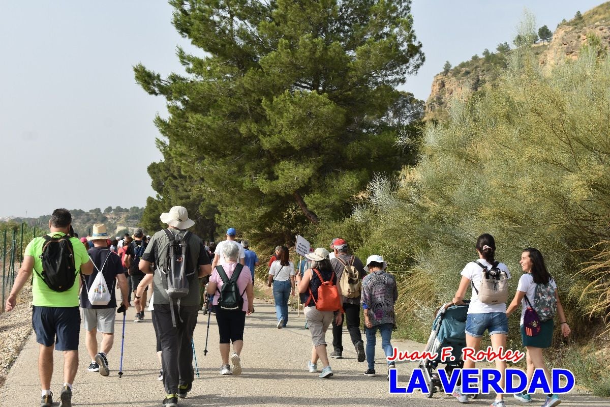 Imágenes de la marcha convocada por Plaza Nueva por la conexión ferroviaria con Albacete