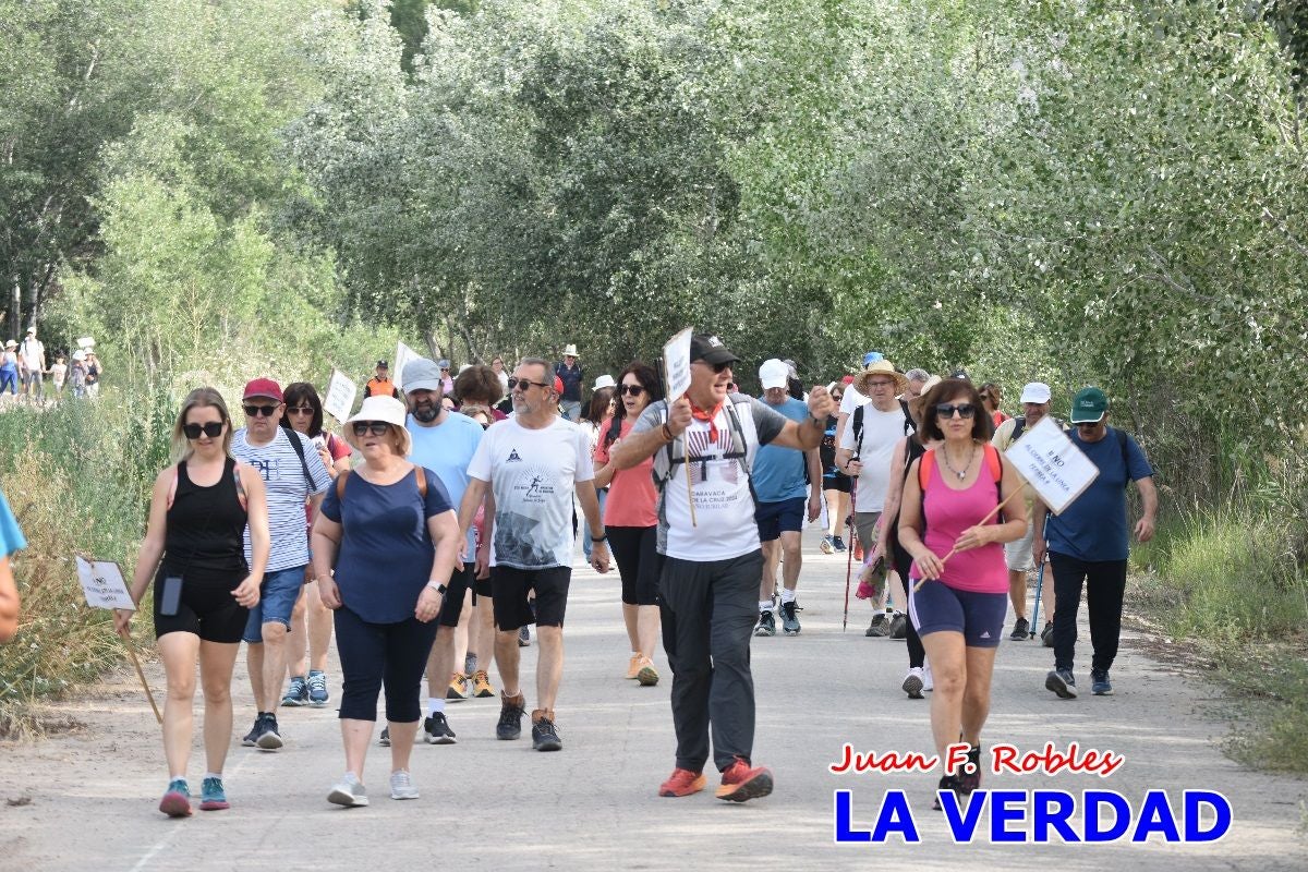 Imágenes de la marcha convocada por Plaza Nueva por la conexión ferroviaria con Albacete