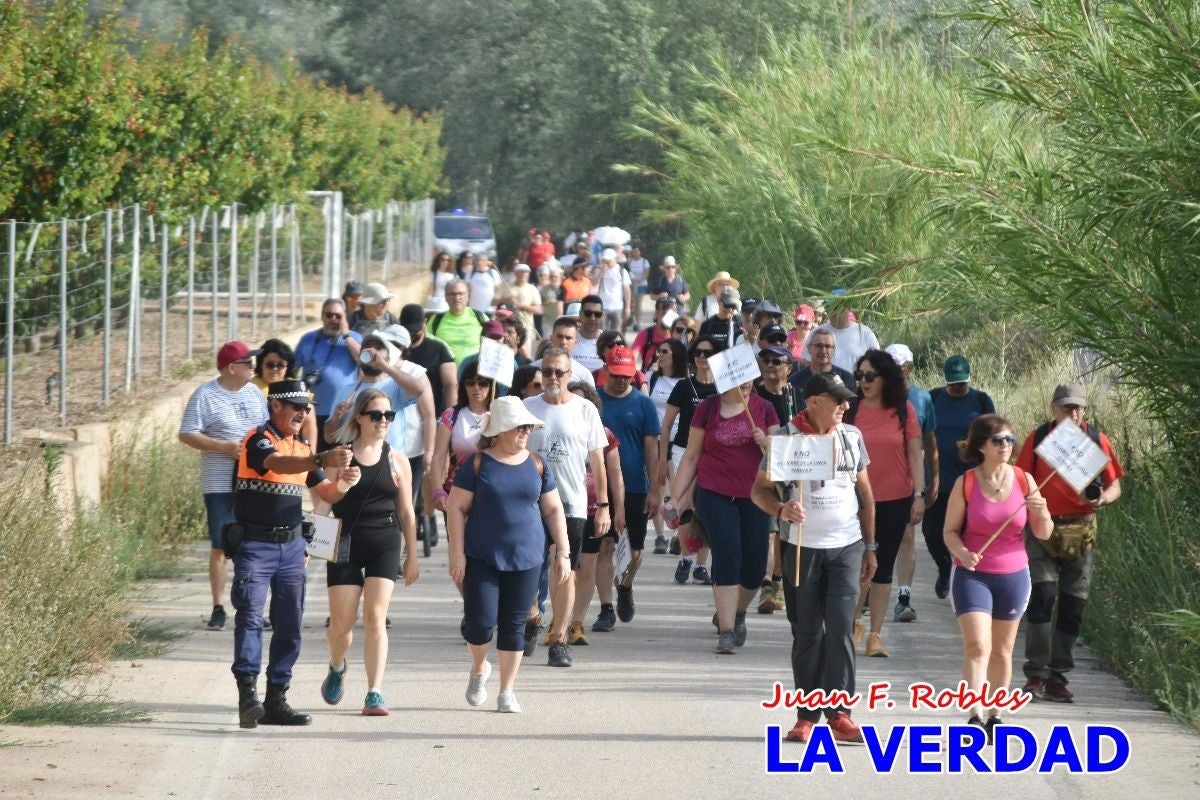 Imágenes de la marcha convocada por Plaza Nueva por la conexión ferroviaria con Albacete