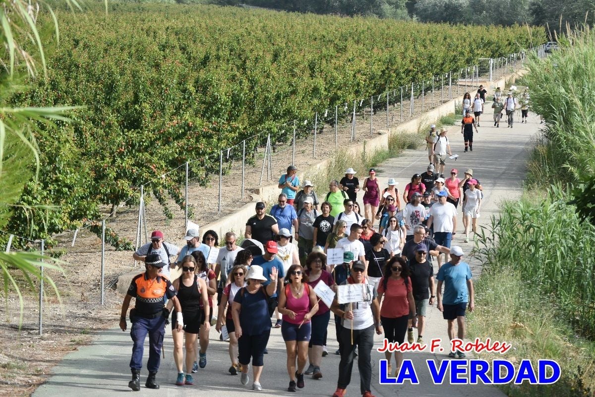 Imágenes de la marcha convocada por Plaza Nueva por la conexión ferroviaria con Albacete