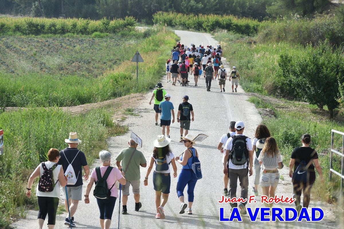 Imágenes de la marcha convocada por Plaza Nueva por la conexión ferroviaria con Albacete