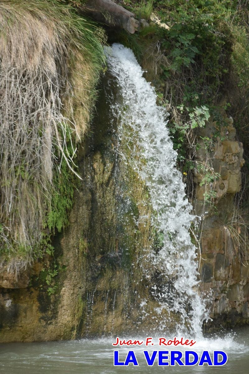 Imágenes de la marcha convocada por Plaza Nueva por la conexión ferroviaria con Albacete