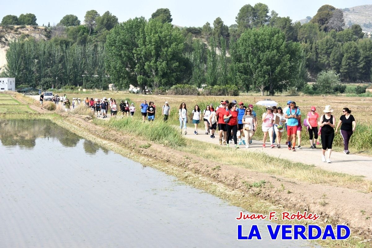 Imágenes de la marcha convocada por Plaza Nueva por la conexión ferroviaria con Albacete