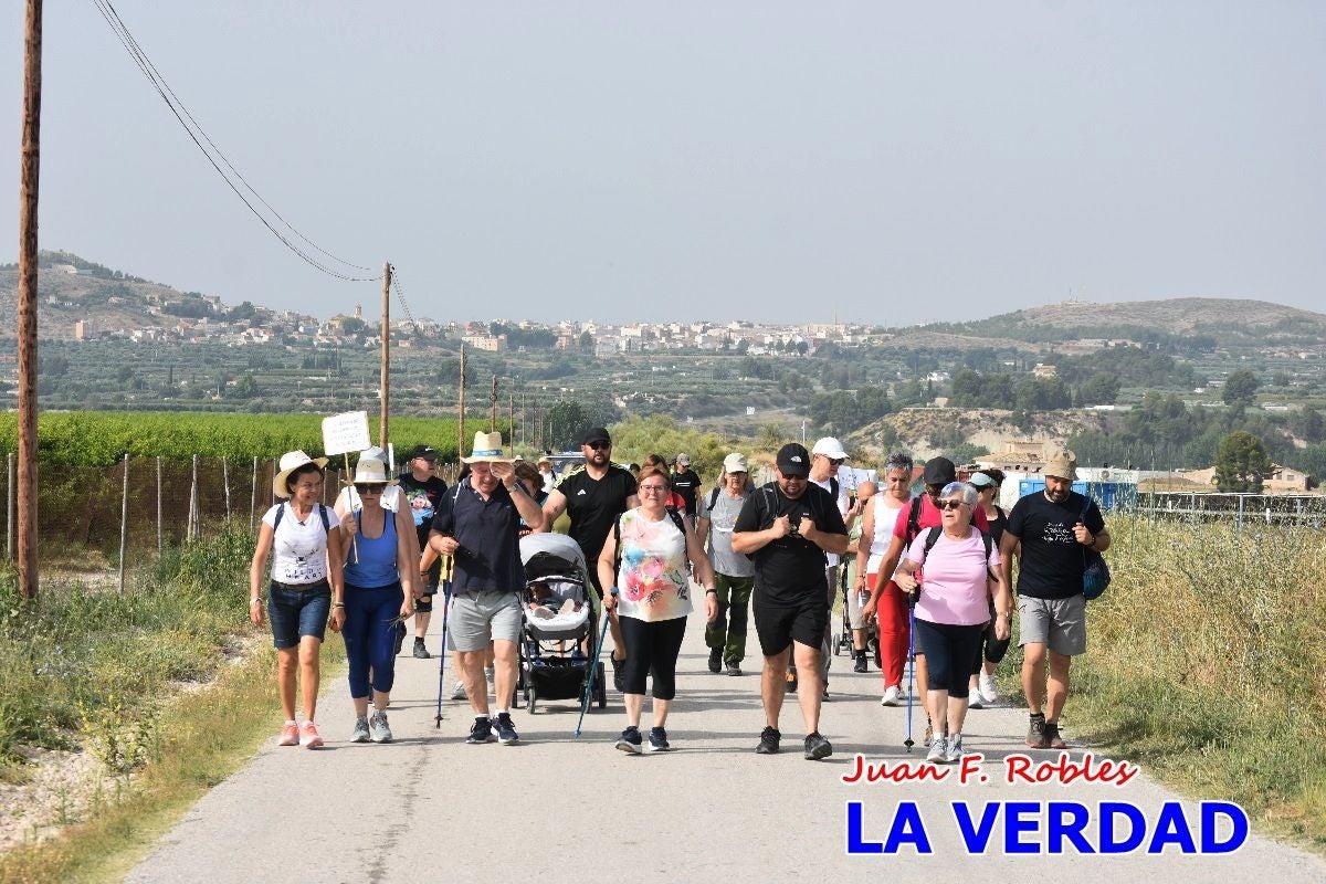 Imágenes de la marcha convocada por Plaza Nueva por la conexión ferroviaria con Albacete