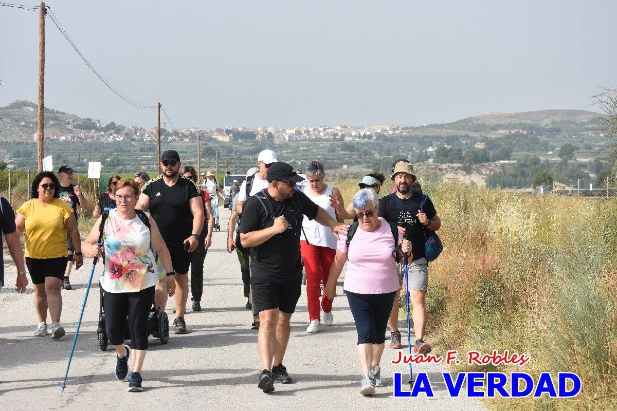 Imágenes de la marcha convocada por Plaza Nueva por la conexión ferroviaria con Albacete