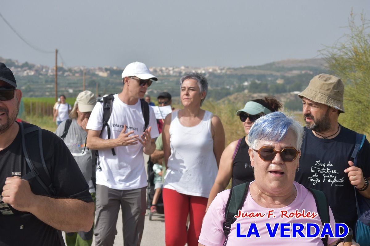 Imágenes de la marcha convocada por Plaza Nueva por la conexión ferroviaria con Albacete