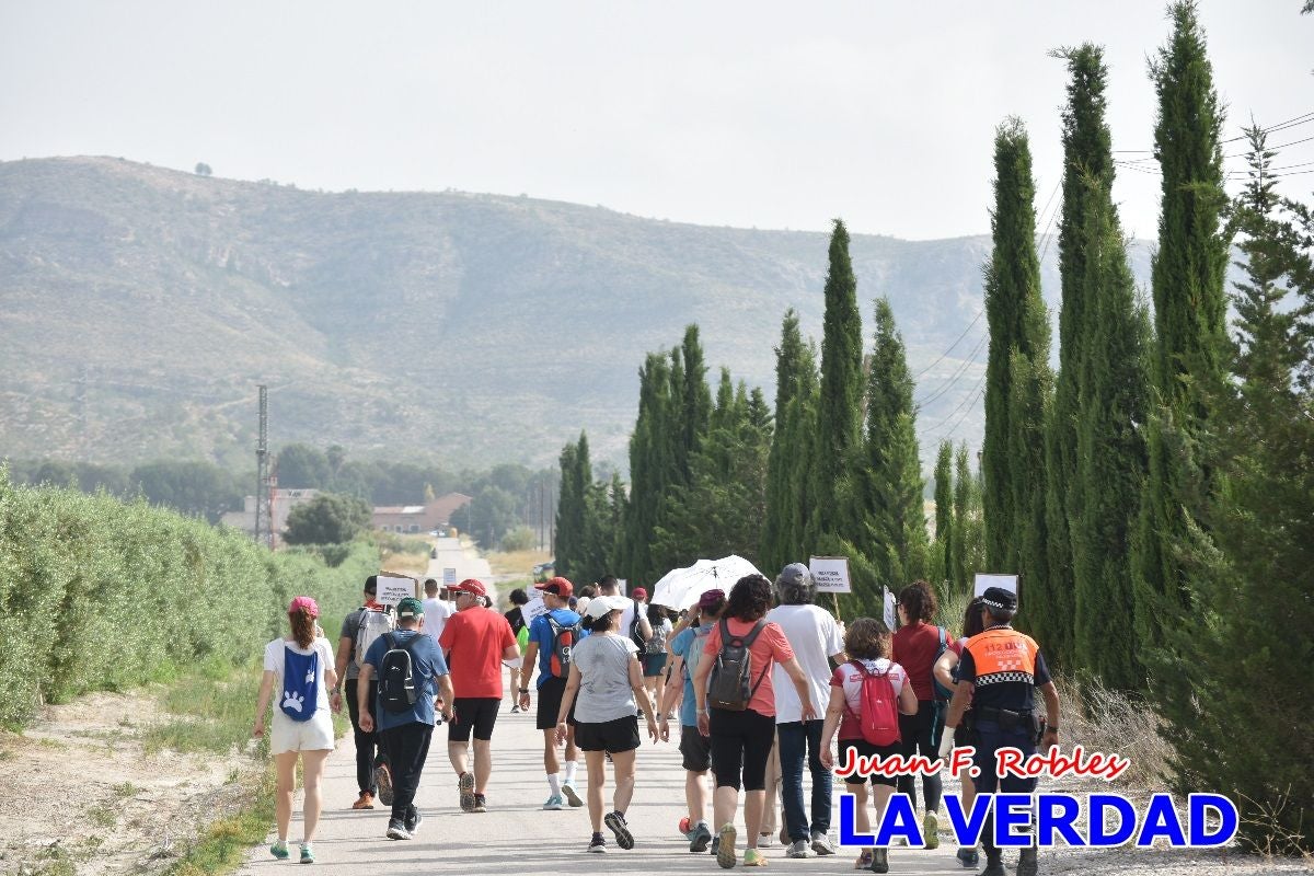 Imágenes de la marcha convocada por Plaza Nueva por la conexión ferroviaria con Albacete