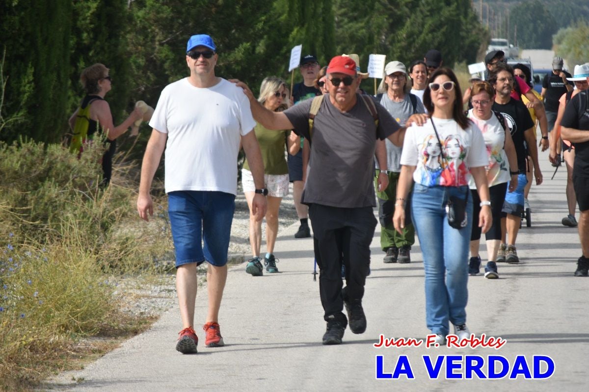 Imágenes de la marcha convocada por Plaza Nueva por la conexión ferroviaria con Albacete