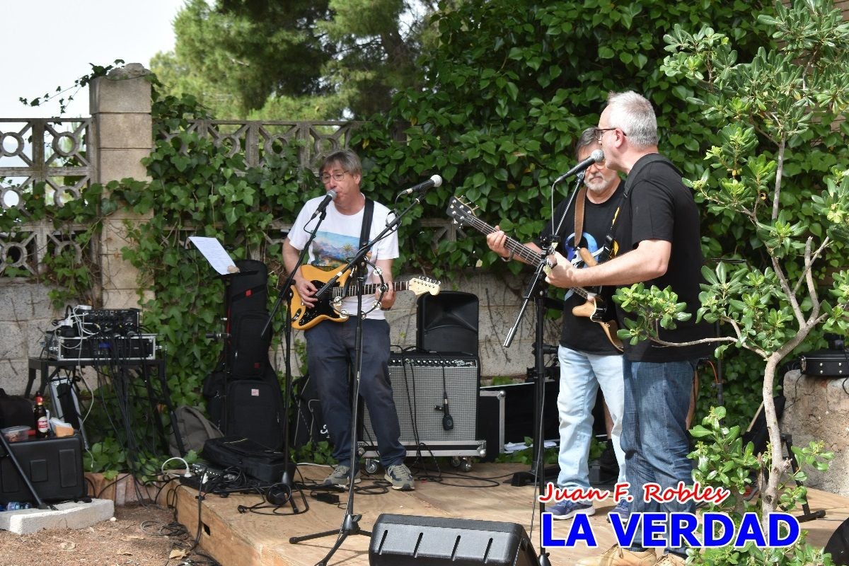 Imágenes de la marcha convocada por Plaza Nueva por la conexión ferroviaria con Albacete