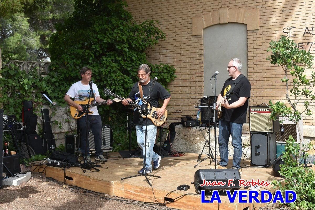 Imágenes de la marcha convocada por Plaza Nueva por la conexión ferroviaria con Albacete