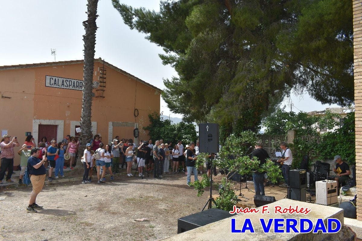 Imágenes de la marcha convocada por Plaza Nueva por la conexión ferroviaria con Albacete