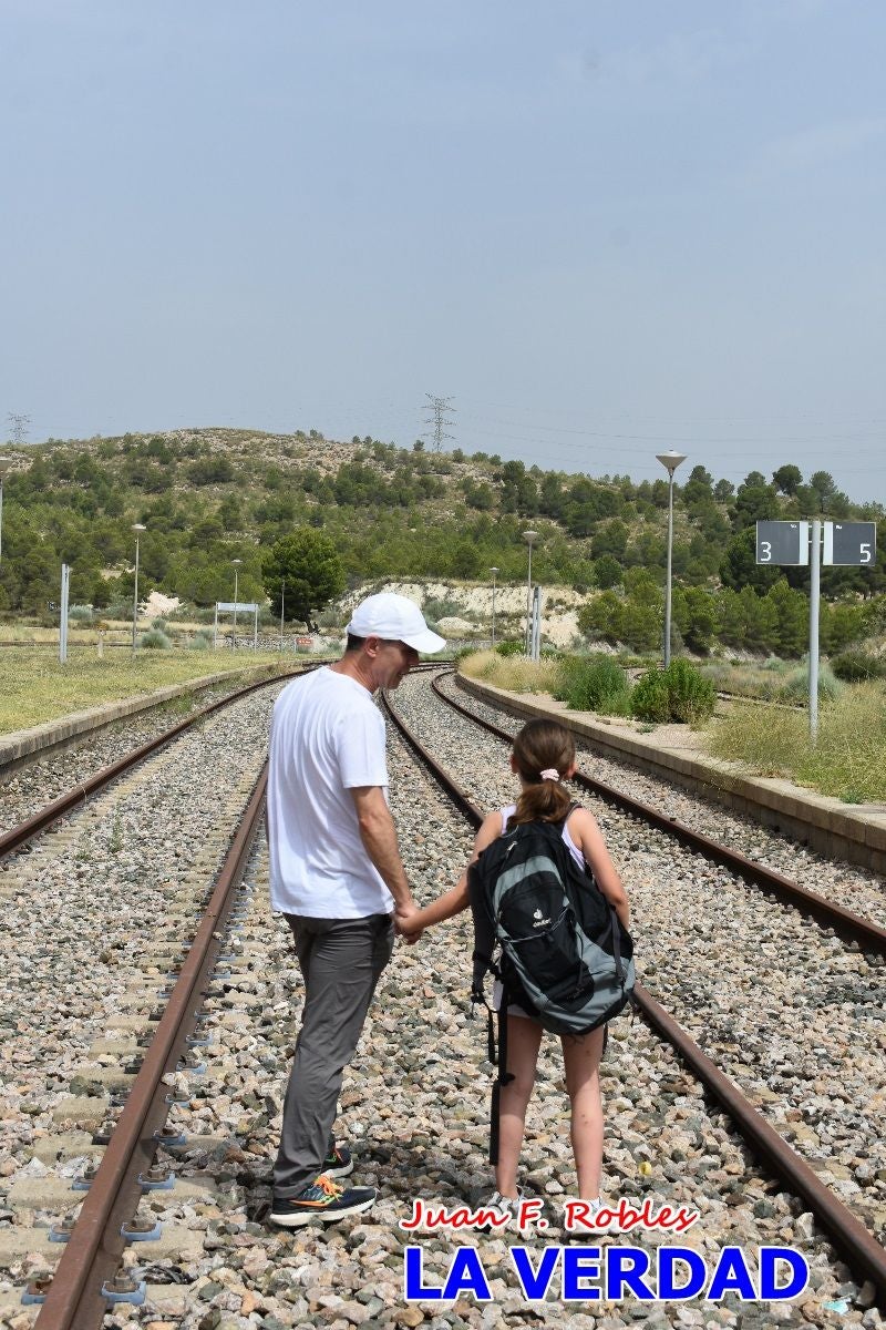 Imágenes de la marcha convocada por Plaza Nueva por la conexión ferroviaria con Albacete