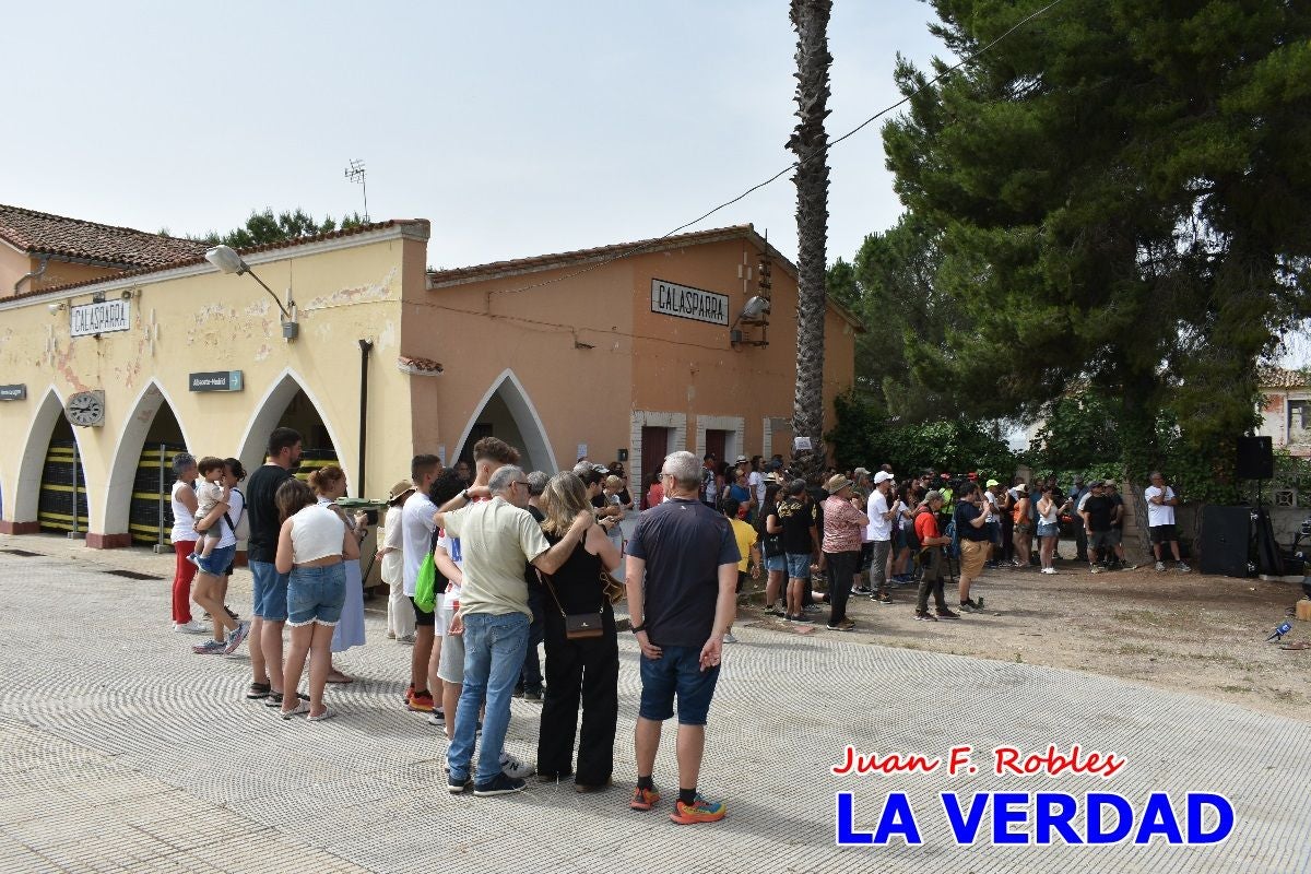 Imágenes de la marcha convocada por Plaza Nueva por la conexión ferroviaria con Albacete
