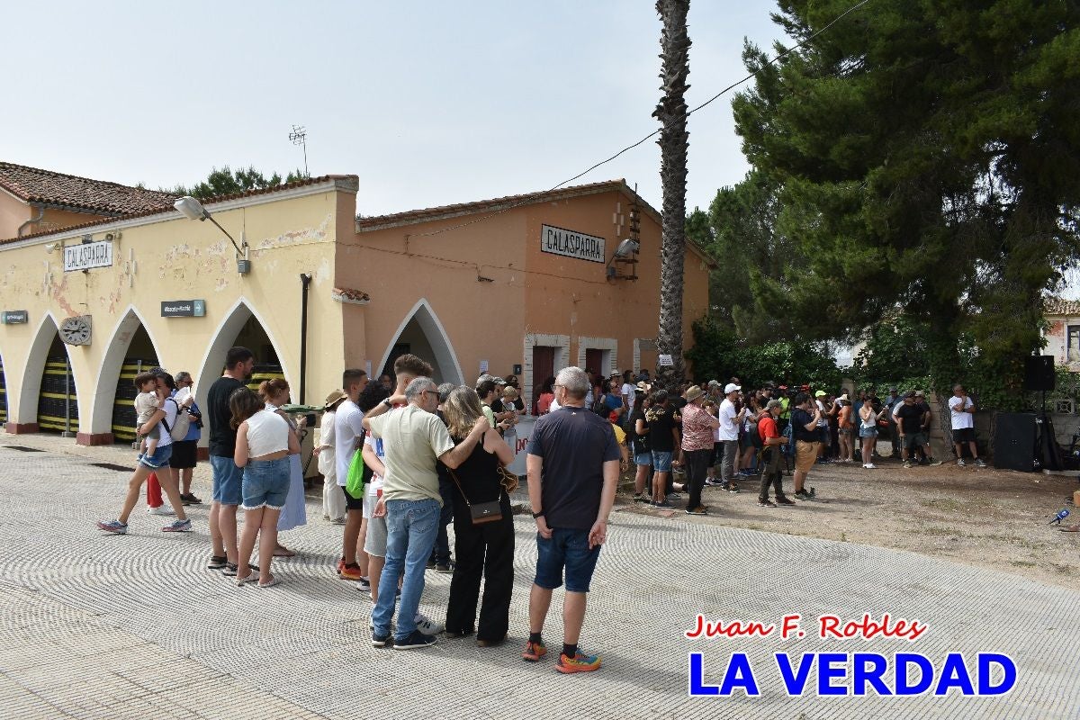 Imágenes de la marcha convocada por Plaza Nueva por la conexión ferroviaria con Albacete