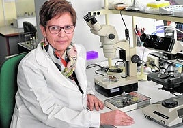 La catedrática de Botánica de la UMU Rosa María Ros Espín.