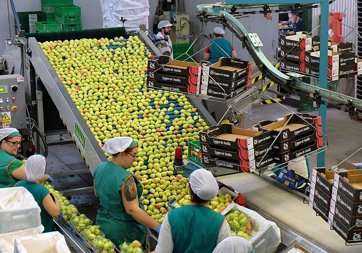 Las instalaciones de una cooperativa agroalimentaria, en una imagen de archivo.