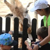 Un grupo de niños en las instalaciones del parque.