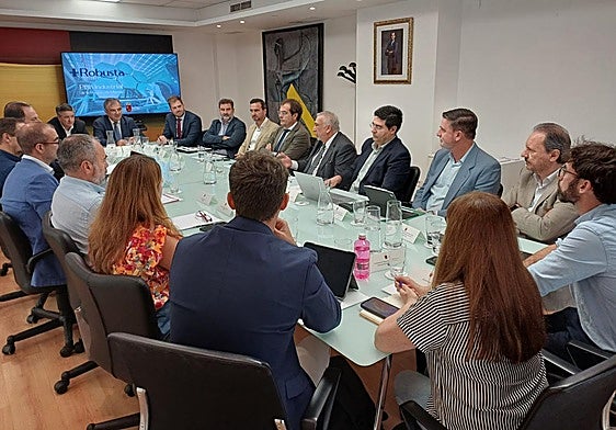 La reunión del grupo de trabajo 'Más Robusta' este martes.