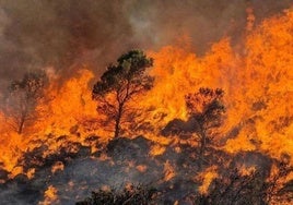 Imagen de archivo de un incendio forestal en Mazarrón.