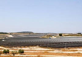 Placas solares ya instaladas en la planta fotovoltaica de Zarcilla de Ramos.
