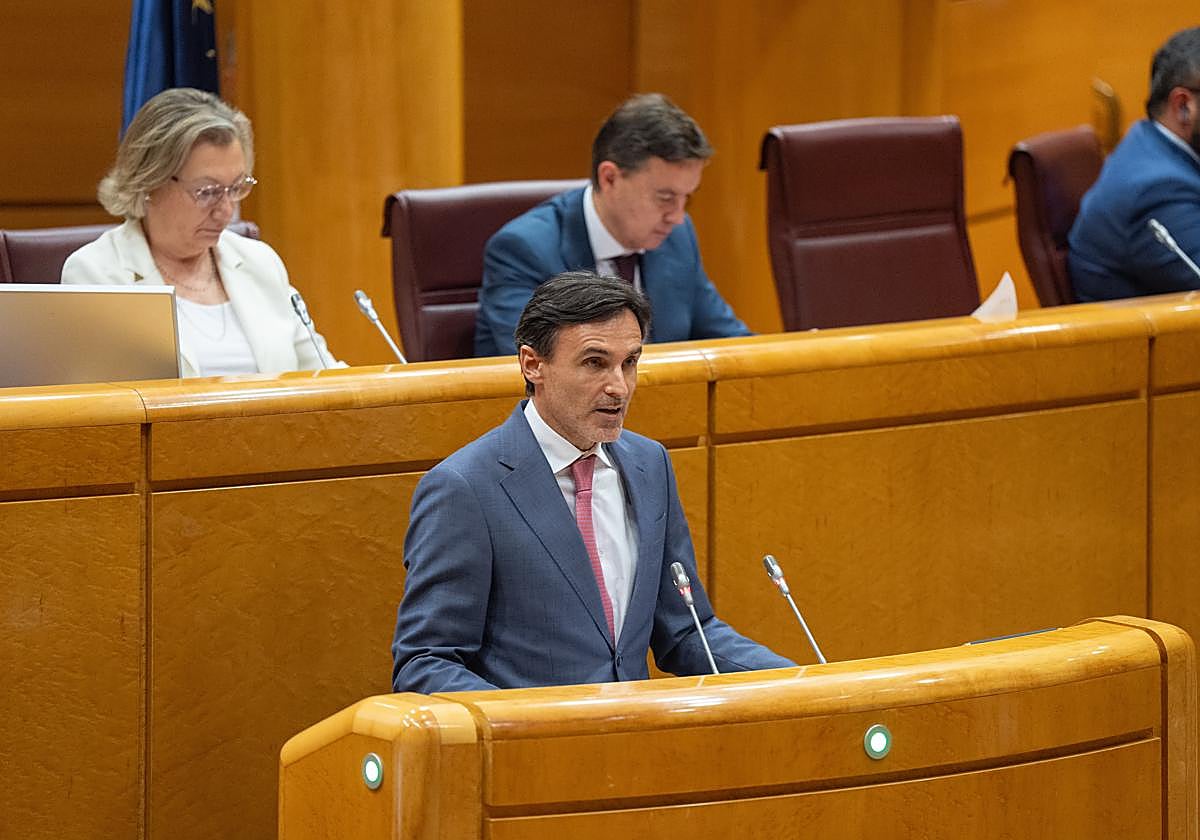 Jorge García Montoro, este lunes, en el Senado.