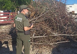 Un agente medioambiental, durante el operativo de San Juan del pasado año.
