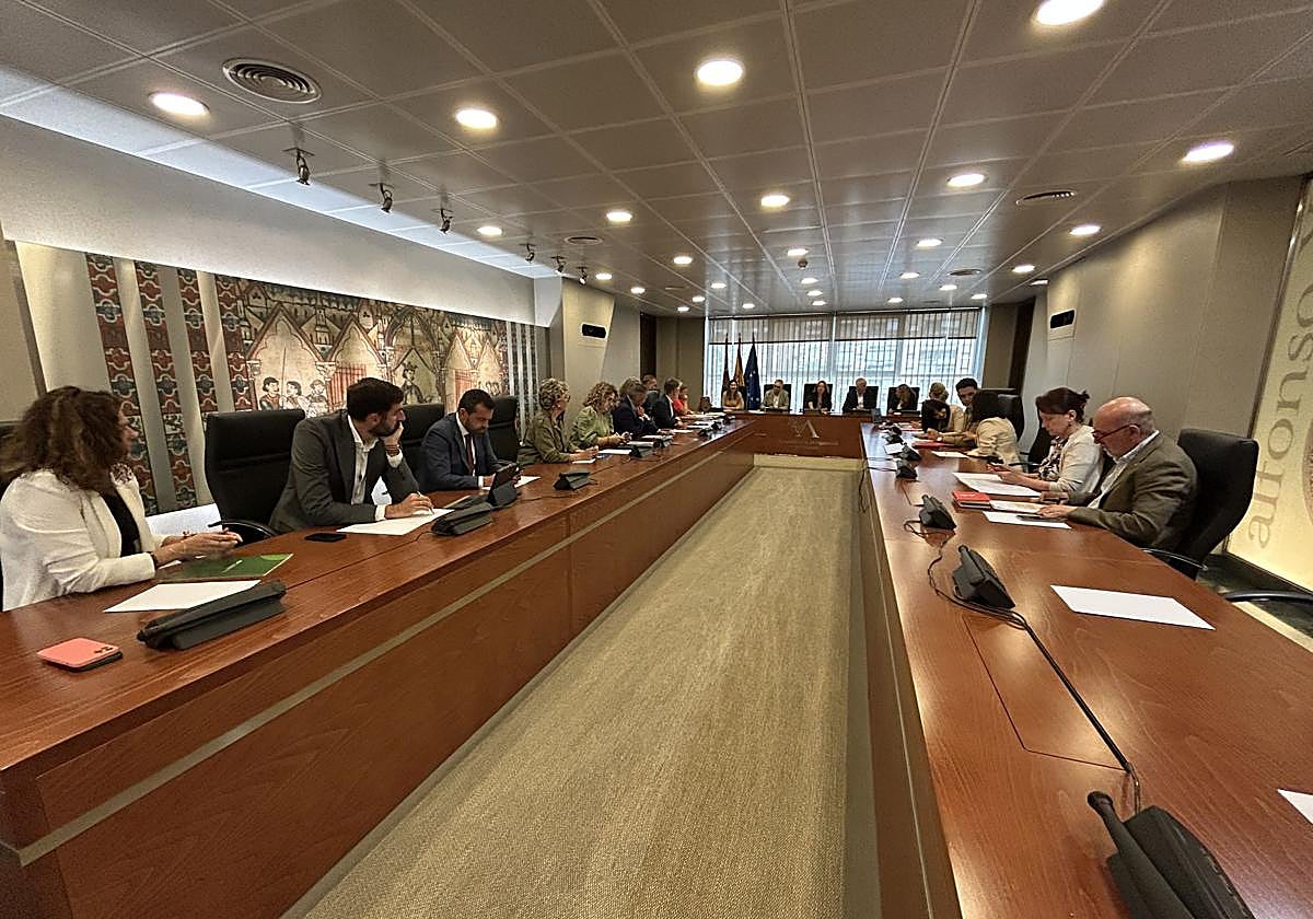 La Diputación Permanente de la Asamblea Regional.