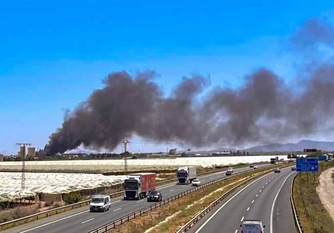 La enorme columna de humo, vista desde la autovía A-7.