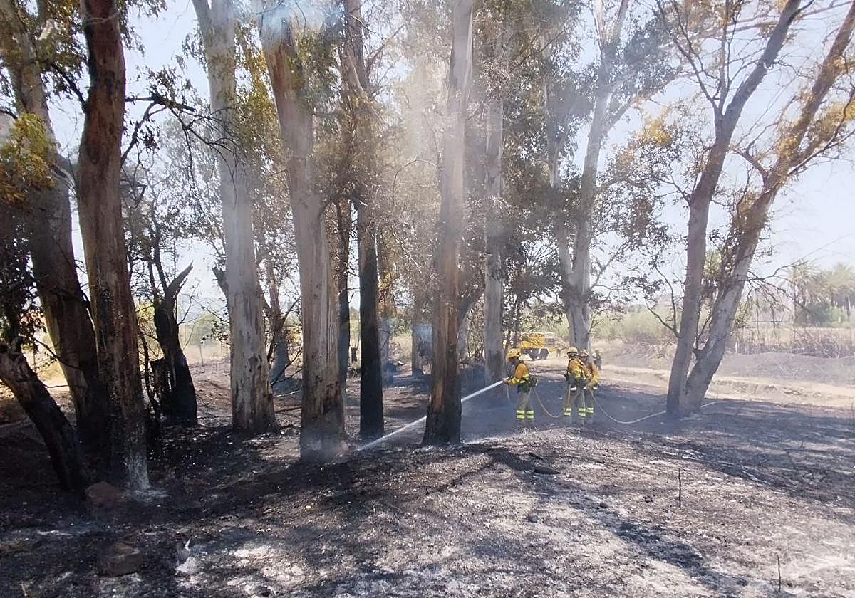 Bomberos durante las labores de extinción del incendio.