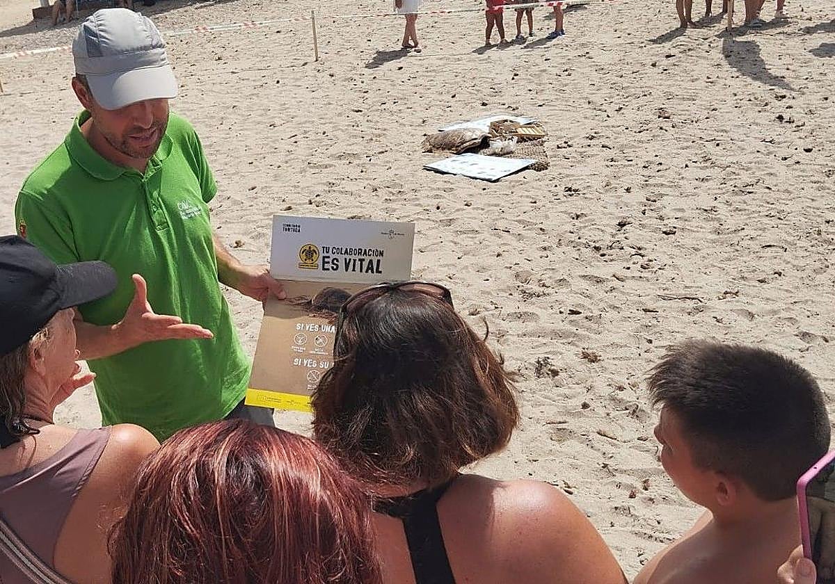 Un voluntario informa sobre qué hacer si se ve una tortuga boba en la playa.