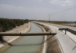 Canal trasvase Tajo-Segura a su paso por Albatera.