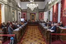 Imagen del pleno de este jueves.