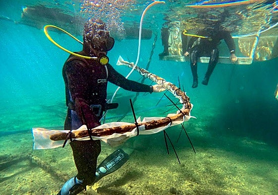 Arqueólogos extraen uno de los fragmentos del casco del barco fenicio 'Mazarrón 2'.
